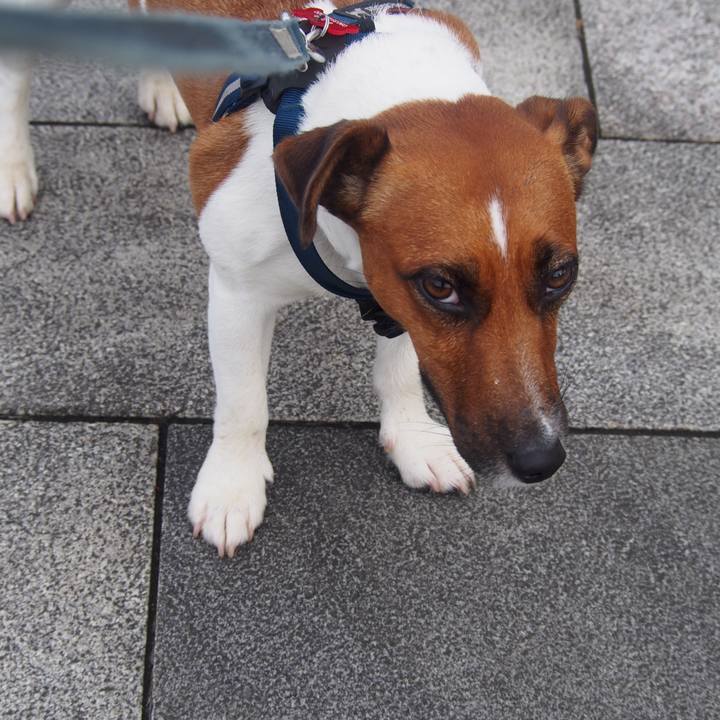 93dc2675 4714 41e1 bff2 3da8f3107112