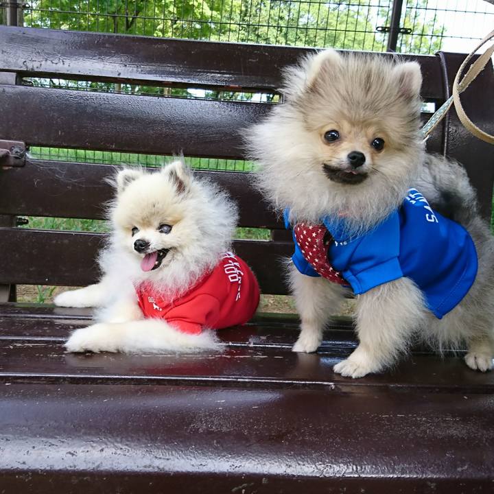 93dc5792 f442 4eb9 8940 a22ba4c23bc4