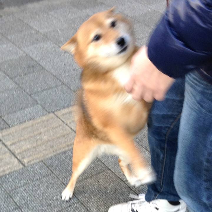 93dc9eec b322 4fa5 93d4 ebb6dc60f1d4