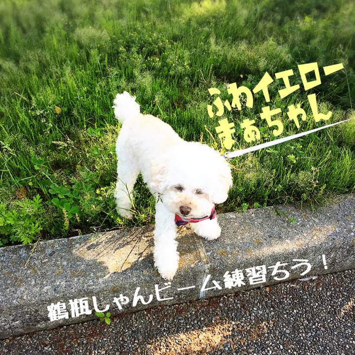 93dcd943 90b9 44af be38 a9e5e321940f