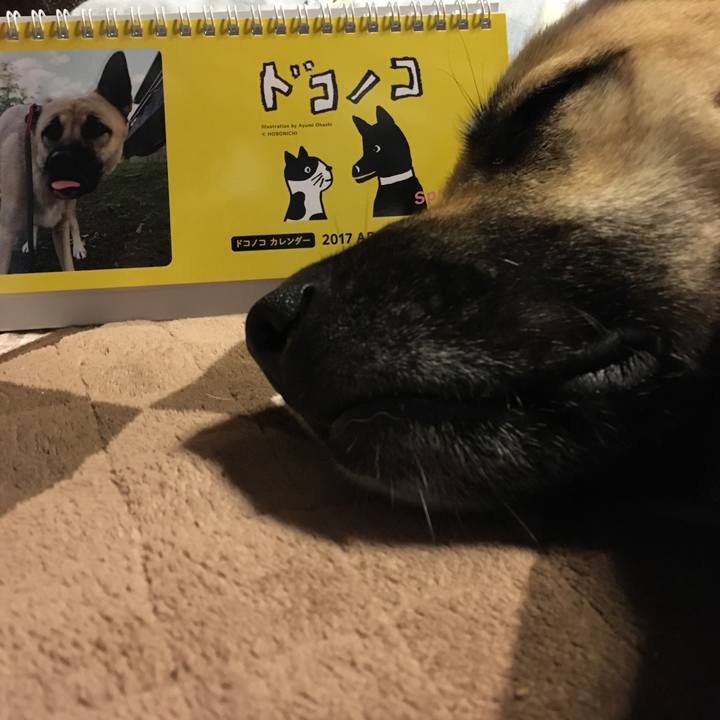 93dcf1ee a829 48a9 a2de 33c0362e04cb