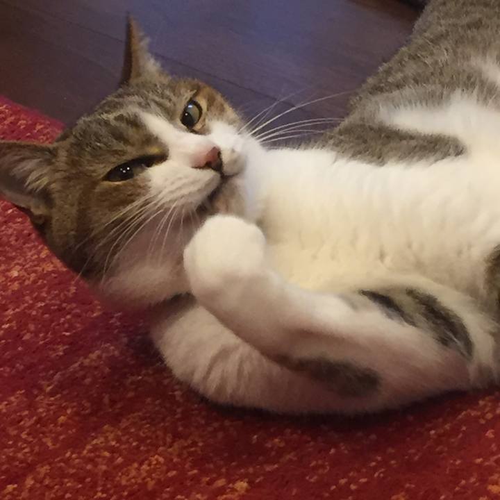 93df724e 70d1 4e6c a15e 3f58ce42421d