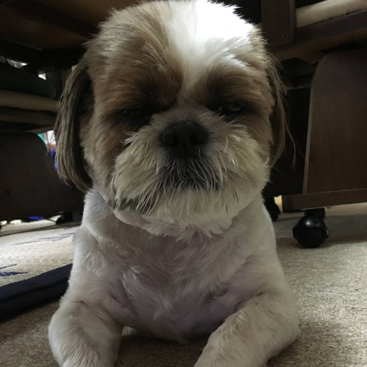 93dfc4b2 529f 4c02 b5e5 3f672a362c2e