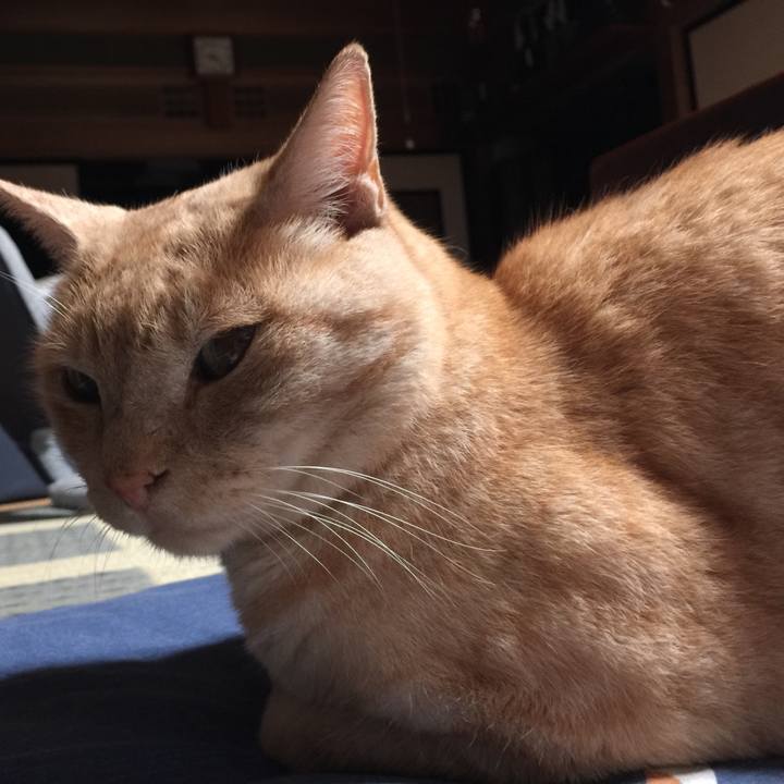 93e1015f 9a22 489f a8a3 daaa217171a5