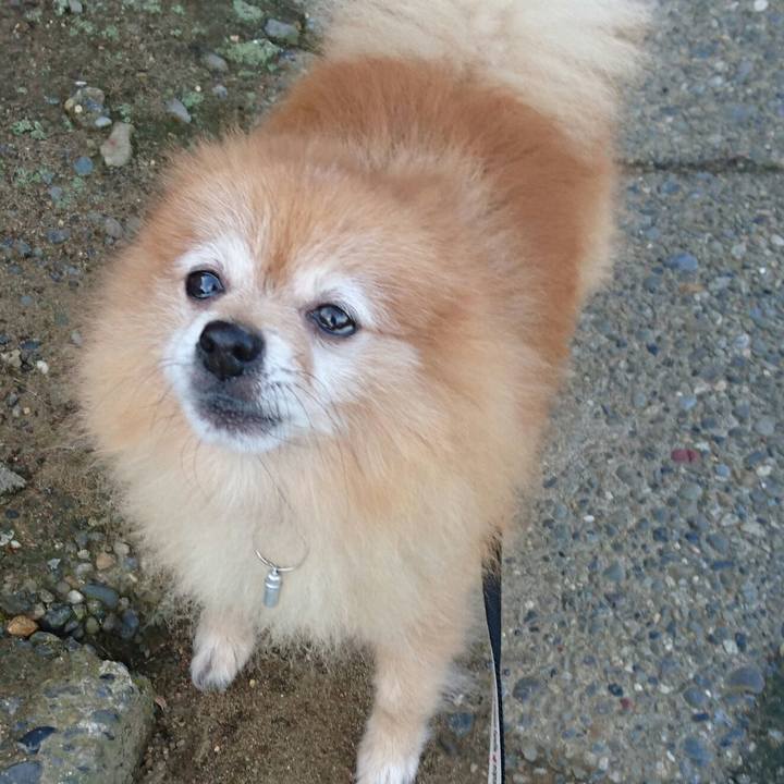 93e101f3 a5c2 437d ac47 7f0c6a91b271