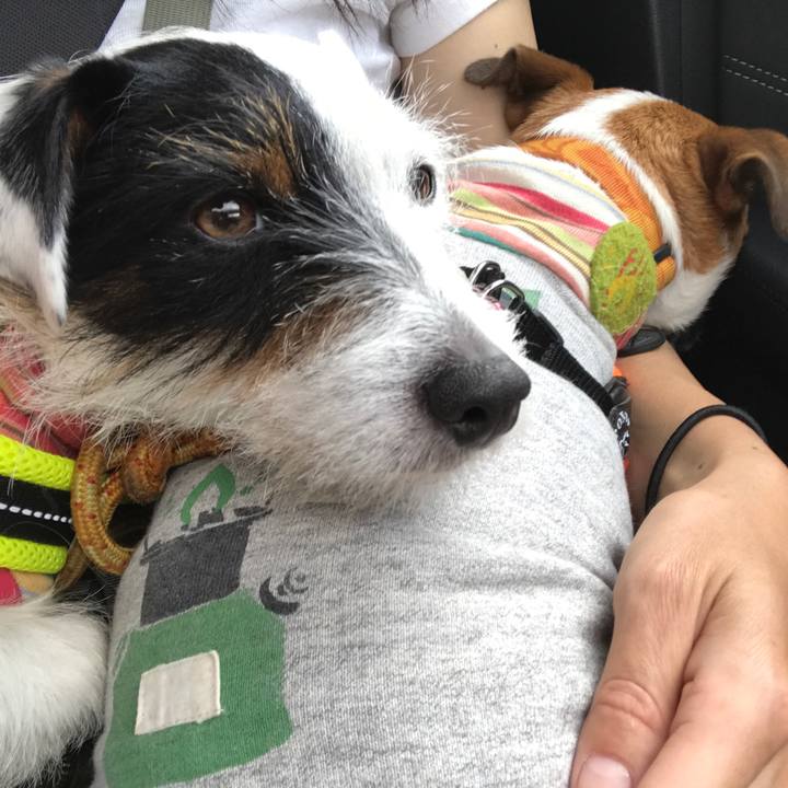 93e12467 77bf 40ca aa0e 95016b00530e