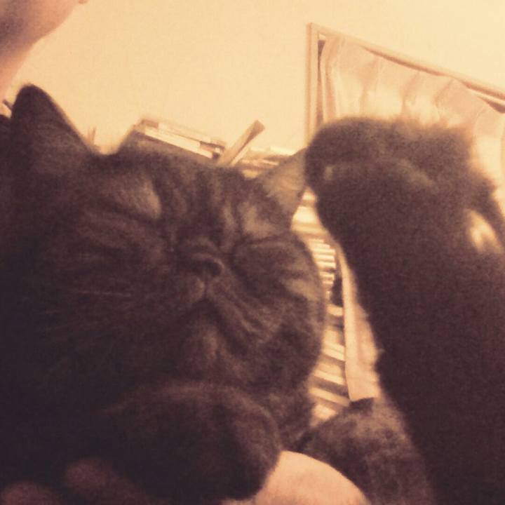 93e19728 bb99 418a 8e02 e7a4d5fd1483