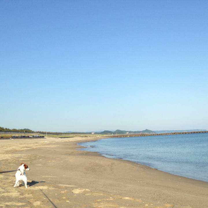 93e22f78 44cd 4c67 bb20 d20f0a5e997c