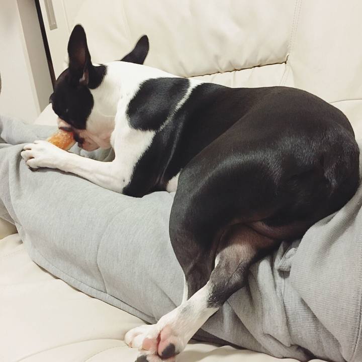 93e23cd6 e7b6 4e0d a92d d0f70677fc01