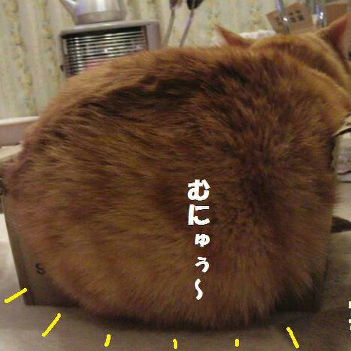 93e27cd9 04b9 4552 b2d4 5624537b0e88