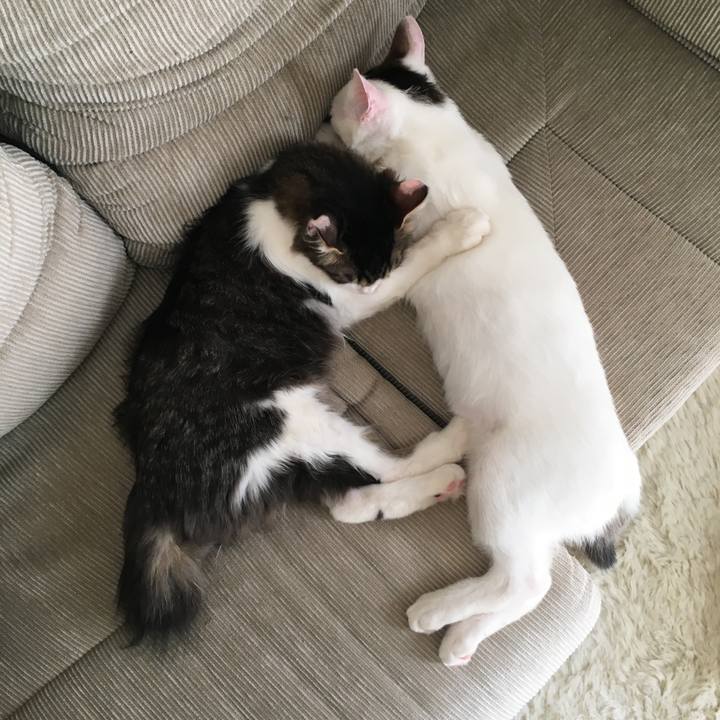 93e288af 1627 4578 8c72 f6cce93e584c