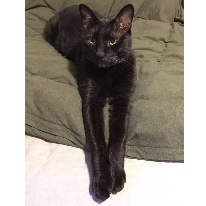 93e31f6b 5c7f 4a74 b68c c20108861232