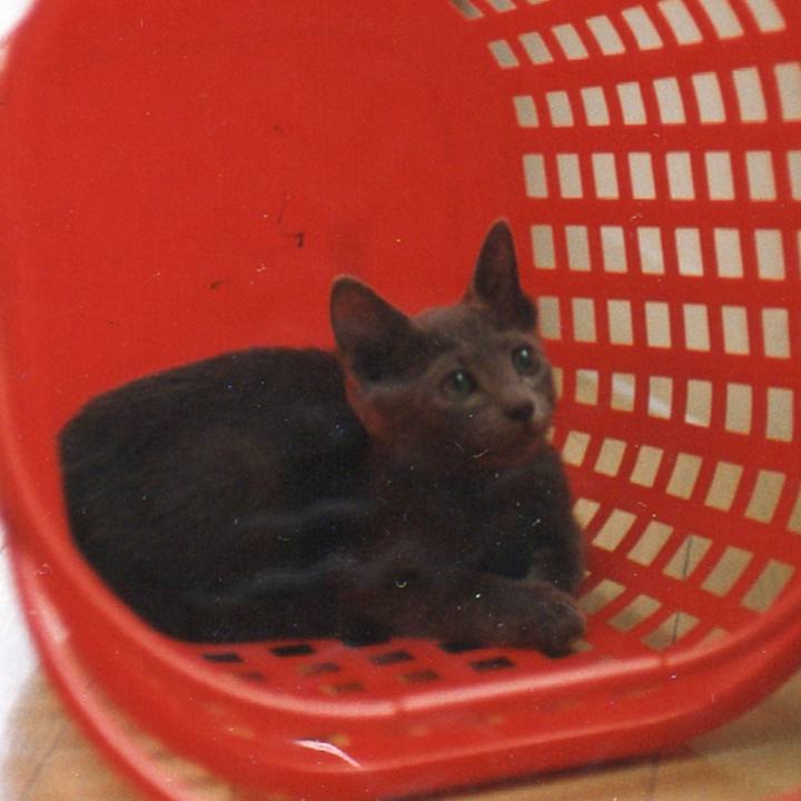 93e3c342 d6ed 4e09 9989 a9e8013186fe