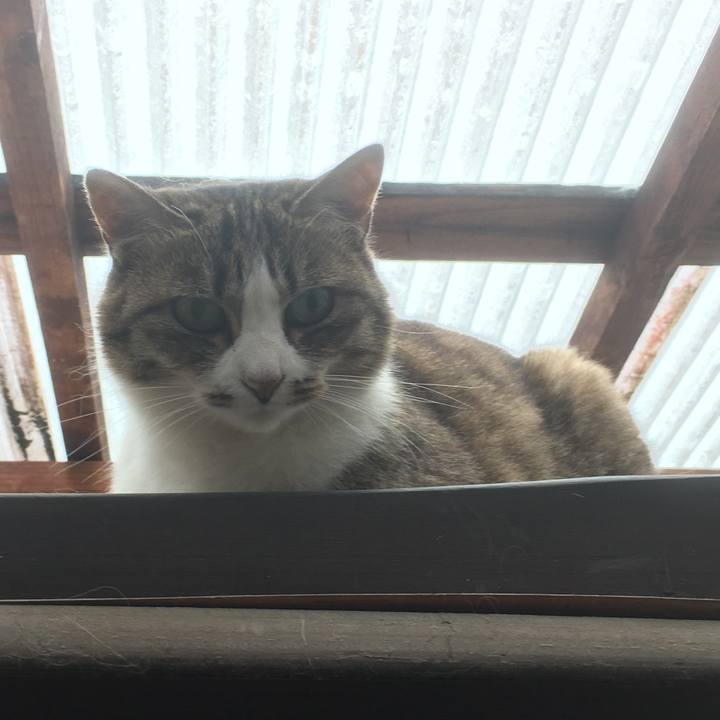 93e46a84 ce99 4768 95c1 72ae96888ca1