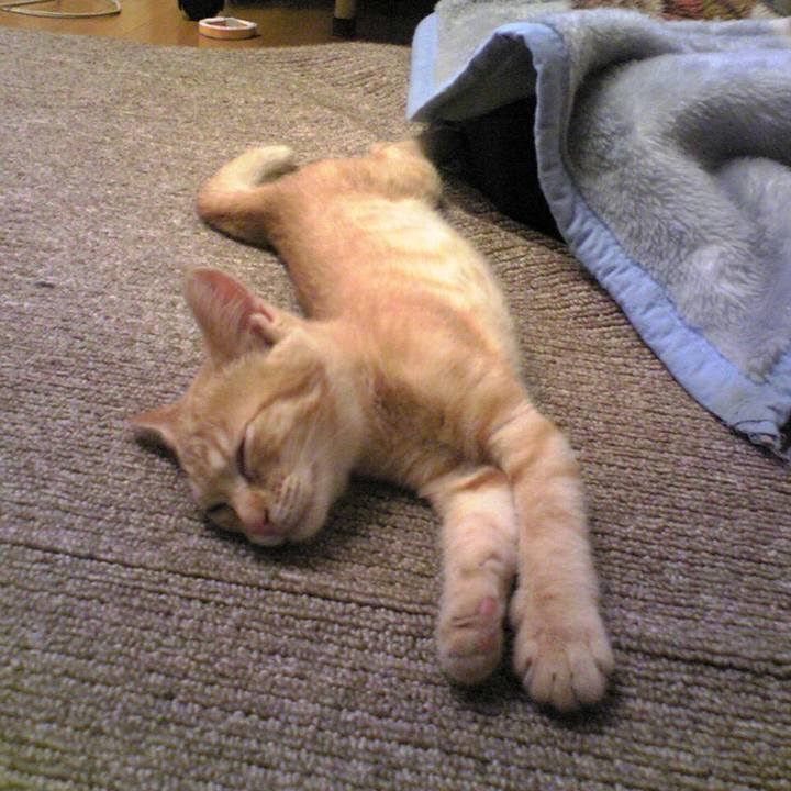 93e48e69 41f7 4698 b97a 9f50eafd3c46