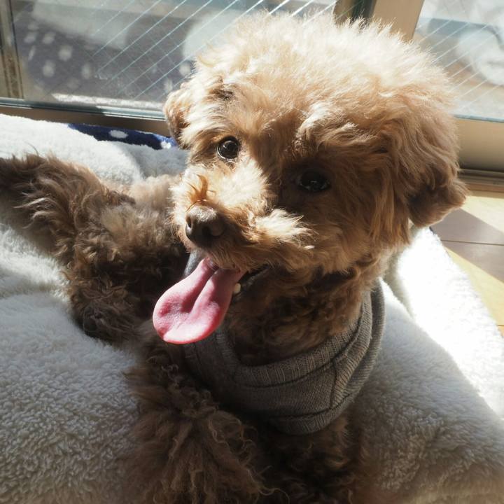 93e4fc55 6f30 4cbc bccc 46653a5b1716