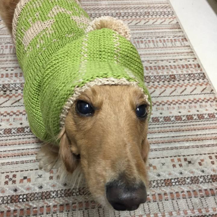 93e59d37 c4b5 4325 947d b18c5dcb7c2e