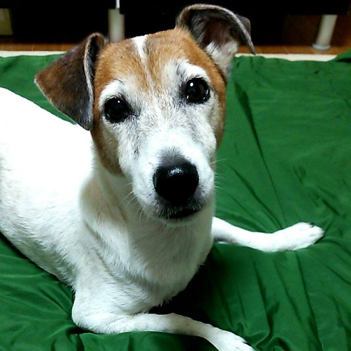 93e5b022 857f 4d7d a834 a7c4fb95aff7