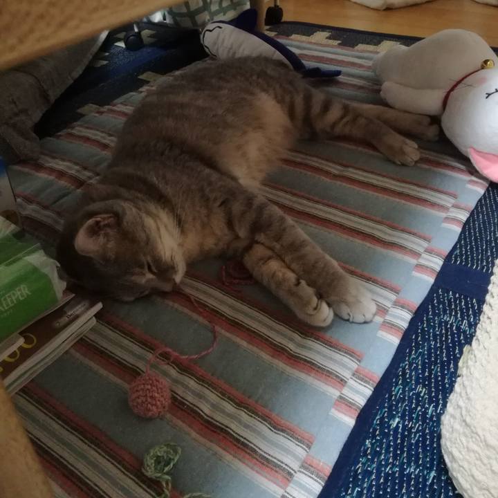 93e6980c 9214 43b5 8cde de7d31c5a9d9