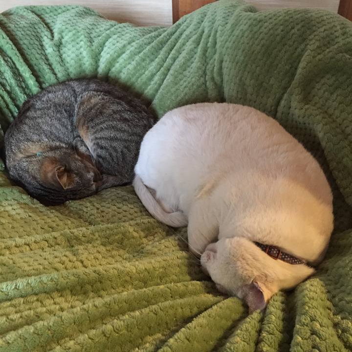 93e6d00e 5633 41c3 ba0d 096cb19f9453