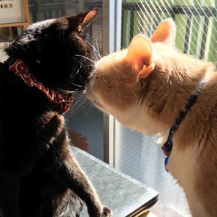 93e6f097 5cc8 4807 8733 c7ba3aff92fc