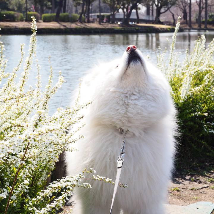 93e6f62a f2c5 4b91 b3db f82ffd6af6e7