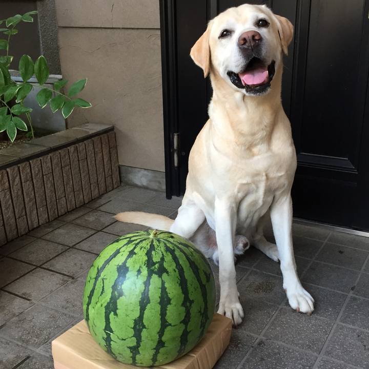 93e7093b 732a 4695 a51d b8ccc92ac0a9