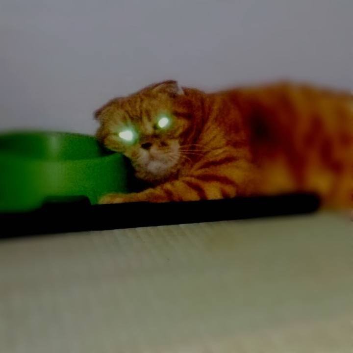 93e766d0 d469 477e 9308 0137b8904493