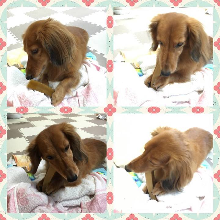 93e82753 3453 451b a200 2e6f3af1f29a