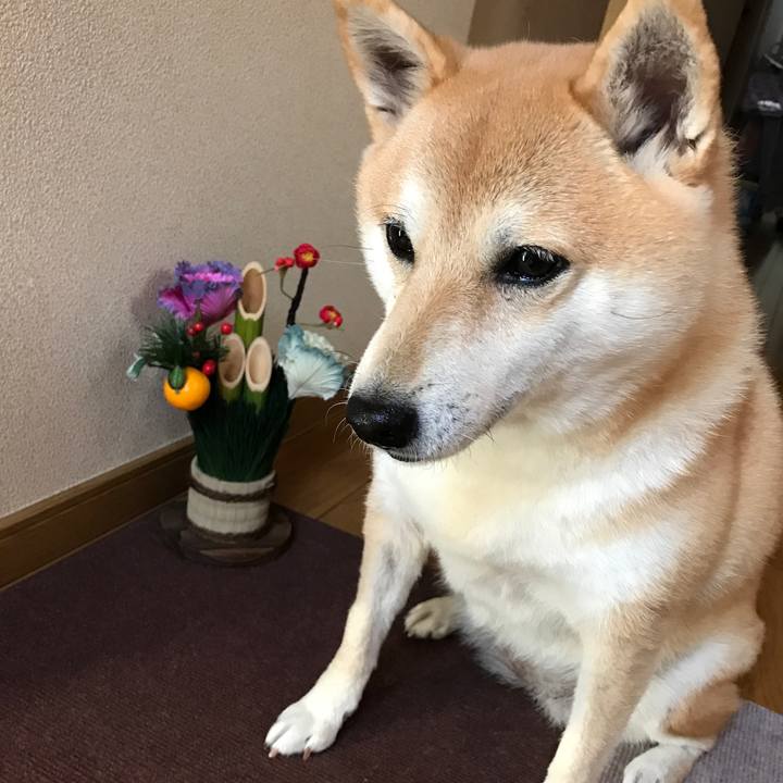 93e975ee d1db 4e53 9a48 bb79edfaf940