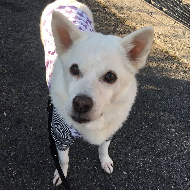 93e9c8d3 2879 44e3 8d9d ff22a6804b9d