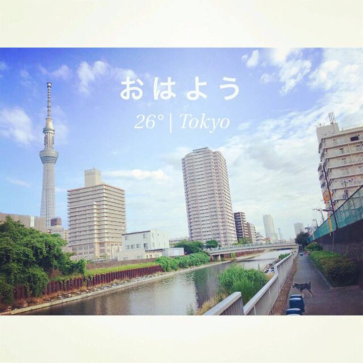 93e9fc86 7a10 4c03 bffd 8c06647bc405