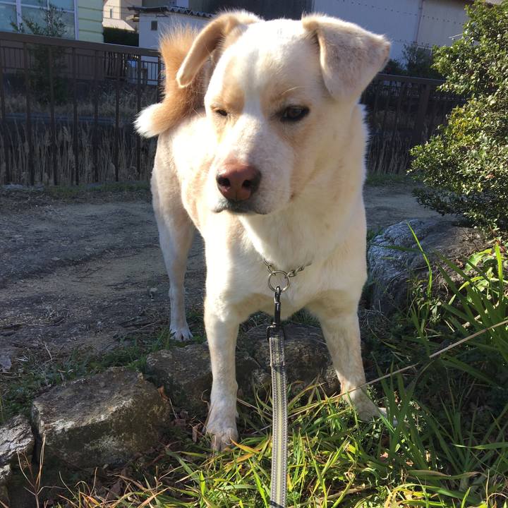 93ea130e 845f 4e24 a217 75ee09a82ec7