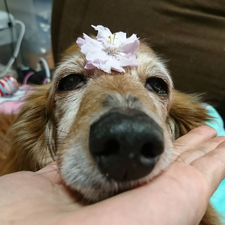 93ea5f6d 85a6 4bbd a8f6 0d828e76d835