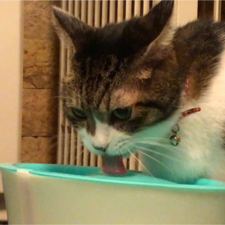 93ea7219 206c 4d16 bb02 086f0ccc3484