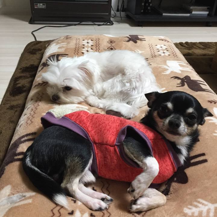 93eba789 c50a 4eb6 a082 a8791e47ad0a