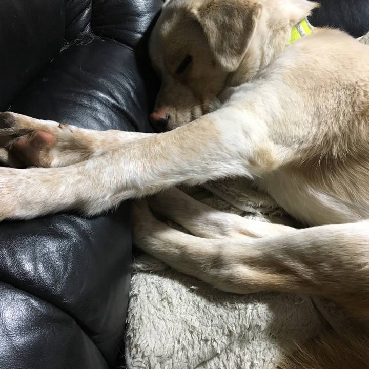 93ebf90b edec 47f7 9d41 4392465d49ba