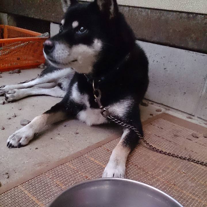 93ecbf45 42b8 41a9 958a 1f3de130e1a5