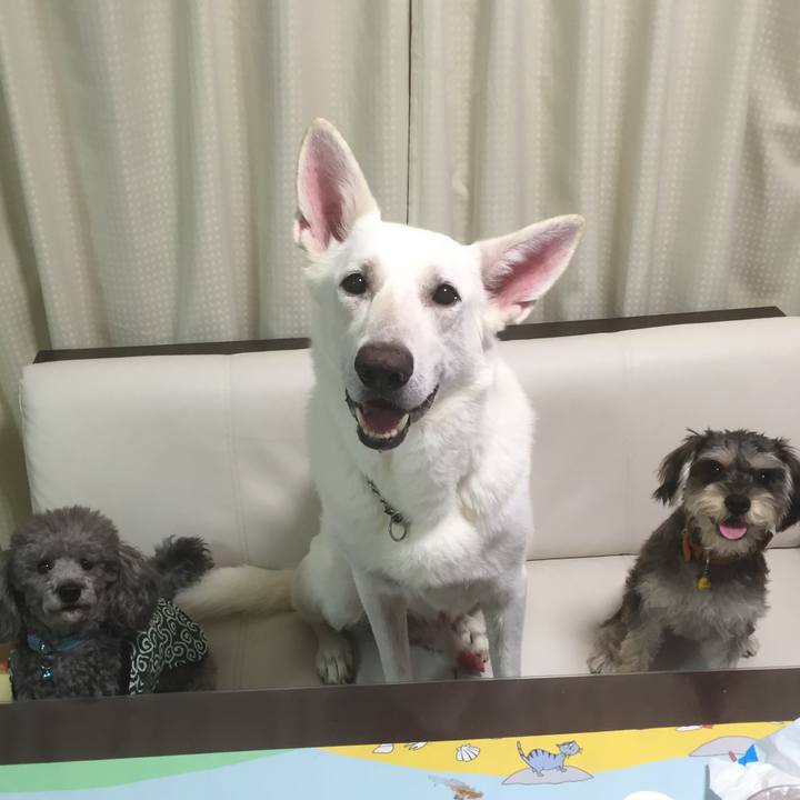 93ed0158 7d26 49df 874d 348792a8388a