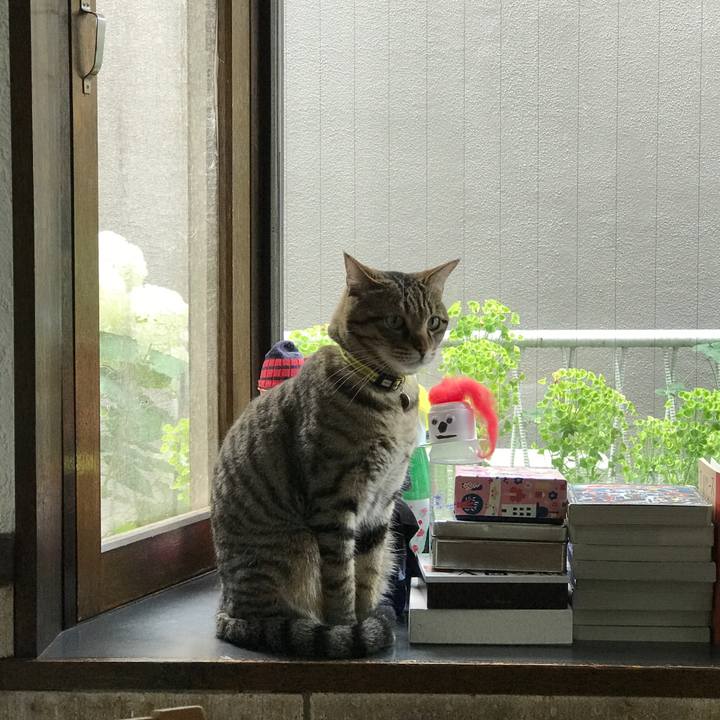 93ede28f 7f0b 4948 9f88 090e14919c5b