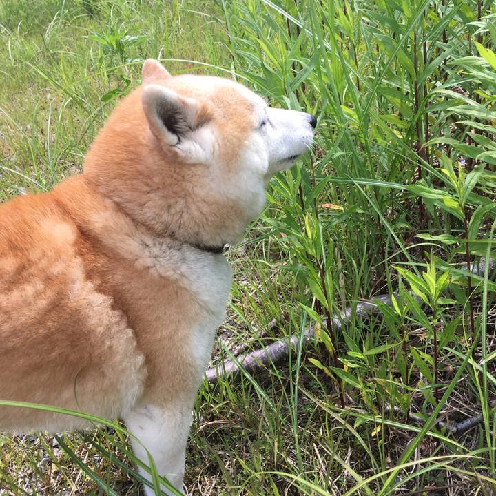 93edee2d 8d1e 441a 819e 4e945821ded0