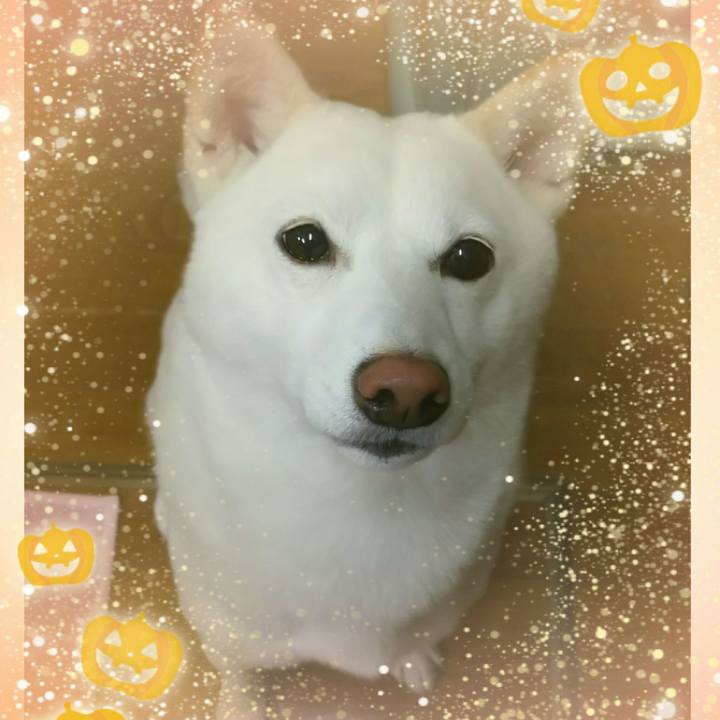 93ee08f8 dc03 4a0f a515 56ab3b2be505