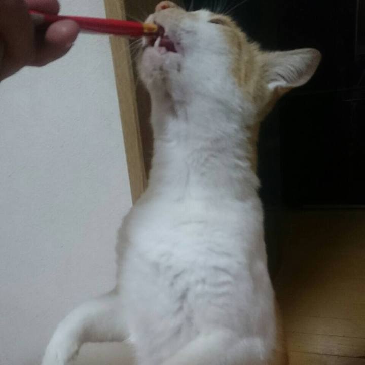 93ee21ba fd9a 4351 bd47 0e8dc6f1d79e