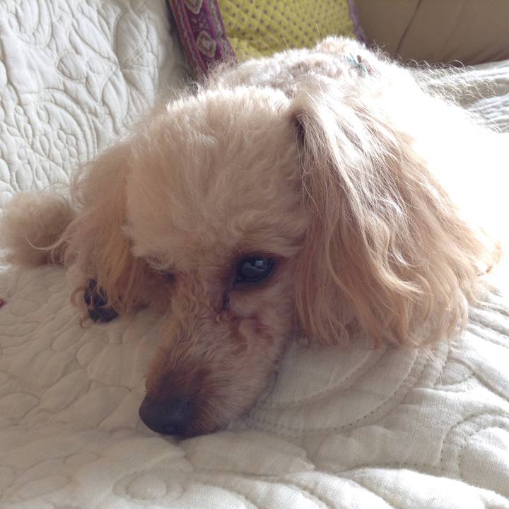 93ee4bf3 4b73 4d57 b284 f4794be5bfdb