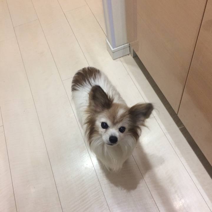 93eede12 7641 420a a90d ba491018f678