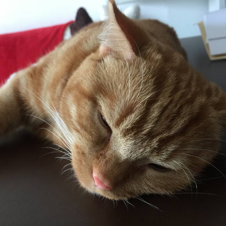 93eede74 018e 4785 a013 a6564323ec97