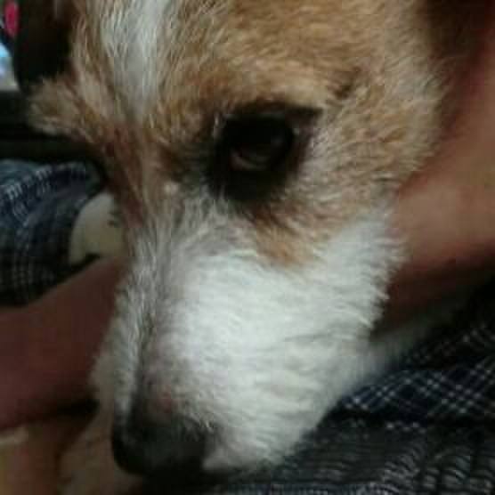 93eeee0b 1d7d 4a1f 8252 661821510a49