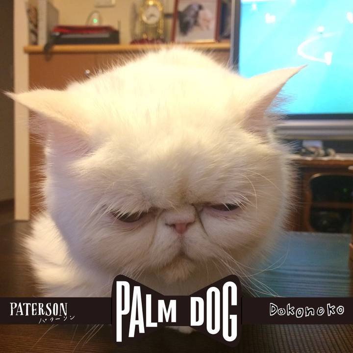 93ef3d49 df19 4d30 b043 75ec36720d9c