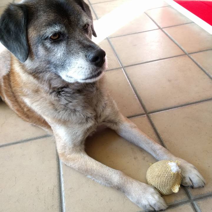 93efc0b5 1eb5 4a0f b43e 5bfcf42d771e