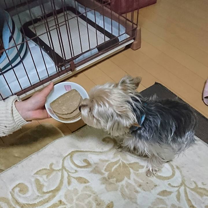 93f0b5e5 e995 4084 a369 7dd5f9198f59